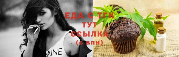 СК Алексин