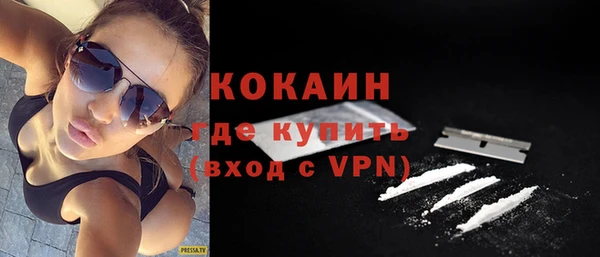 СК Алексин