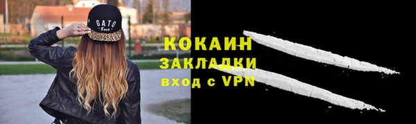спиды Алзамай