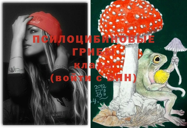 гидра Алексеевка